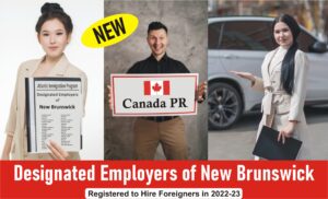 designated employers in new brunswick