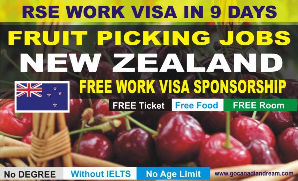 Fruit Picking Jobs in New Zealand with visa sponsorship