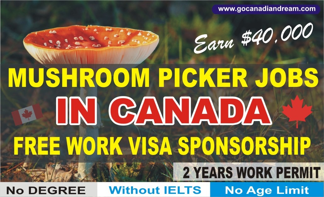 mushroom picker jobs in canada with work visa sponsorship in 2023