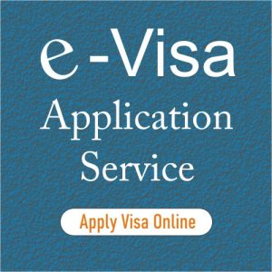 evisa application service